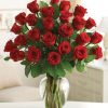 2 dozen valentines day long stemmed red roses