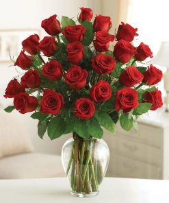 2 dozen valentines day long stemmed red roses