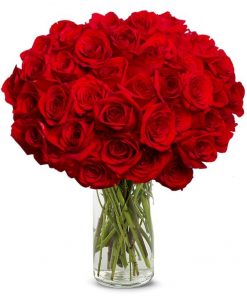 Opulent Bouquet of 50 Long Stemmed Red Roses in Tall Cylinder Vase – Flower Freshness Guaranteed